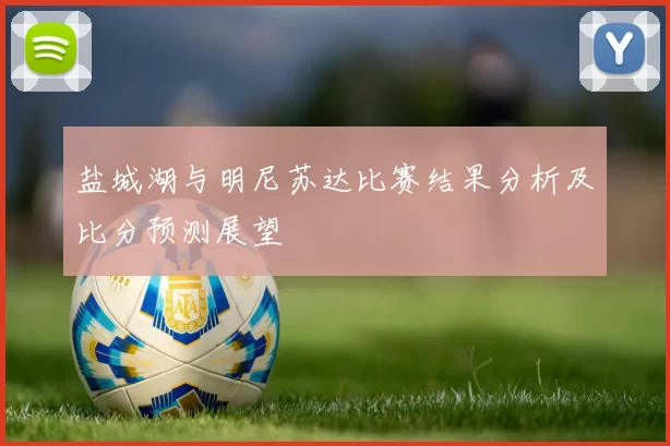 盐城湖与明尼苏达比赛结果分析及比分预测展望