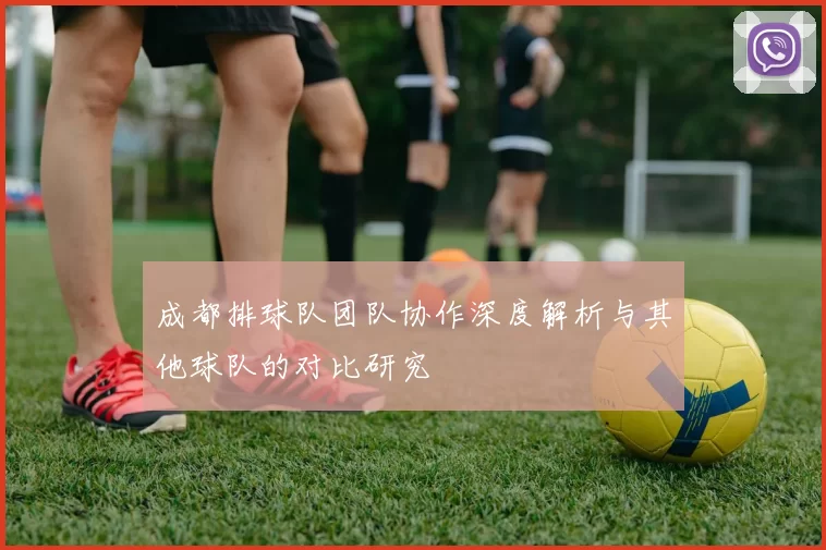 成都排球队团队协作深度解析与其他球队的对比研究