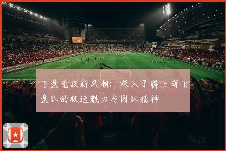 飞盘竞技新风潮：深入了解上海飞盘队的极速魅力与团队精神
