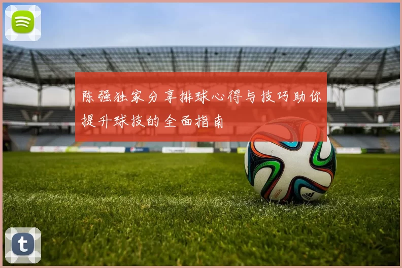 陈强独家分享排球心得与技巧助你提升球技的全面指南