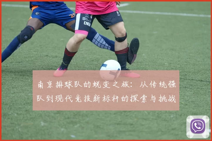 南京排球队的蜕变之旅：从传统强队到现代竞技新标杆的探索与挑战