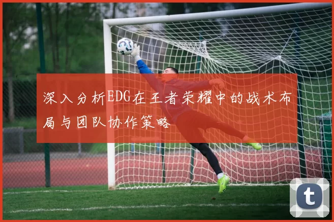 深入分析EDG在王者荣耀中的战术布局与团队协作策略