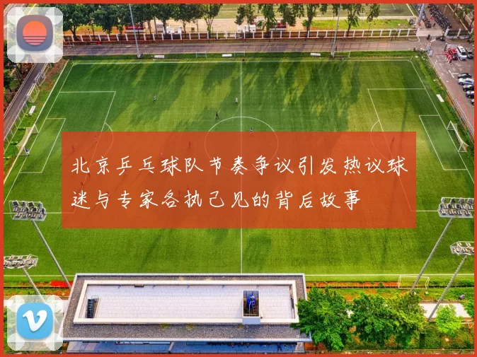 北京乒乓球队节奏争议引发热议球迷与专家各执己见的背后故事
