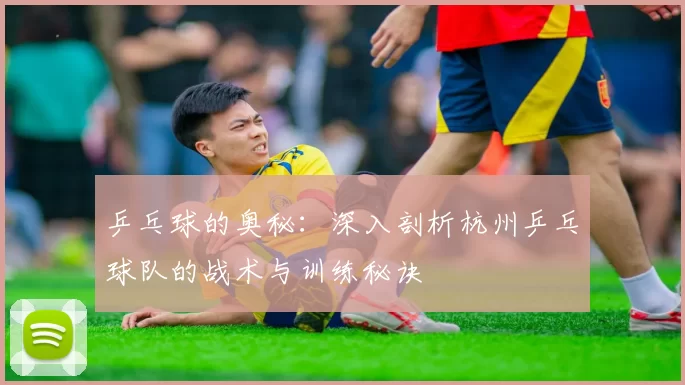 乒乓球的奥秘：深入剖析杭州乒乓球队的战术与训练秘诀