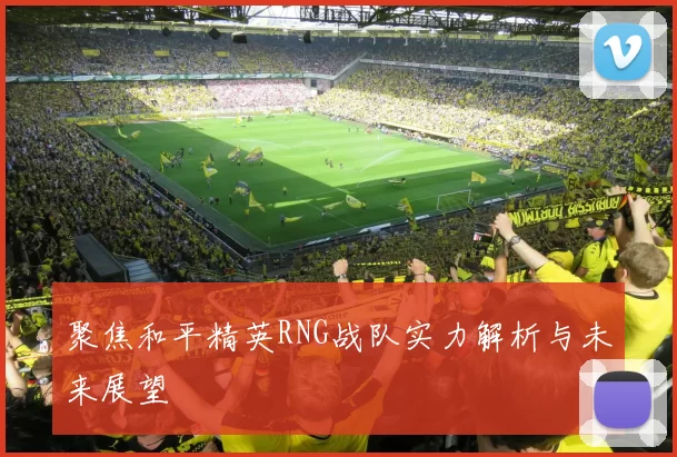 聚焦和平精英RNG战队实力解析与未来展望