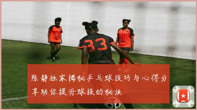 陈静独家揭秘乒乓球技巧与心得分享助你提升球技的秘诀