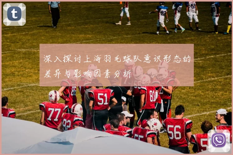 深入探讨上海羽毛球队意识形态的差异与影响因素分析