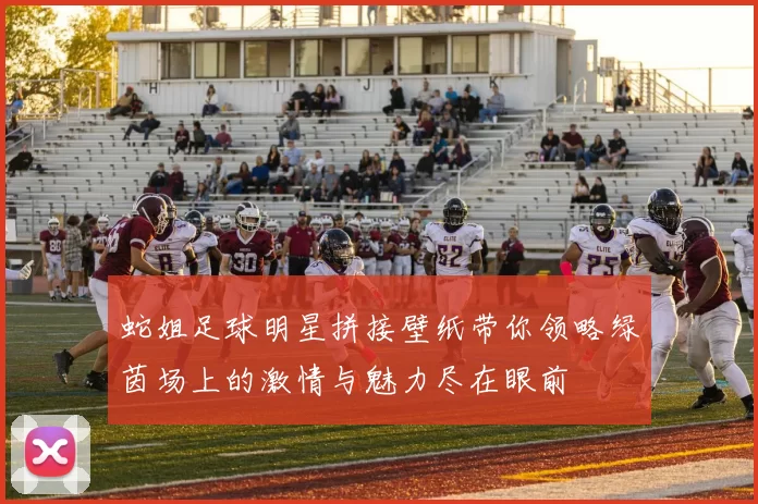 蛇姐足球明星拼接壁纸带你领略绿茵场上的激情与魅力尽在眼前