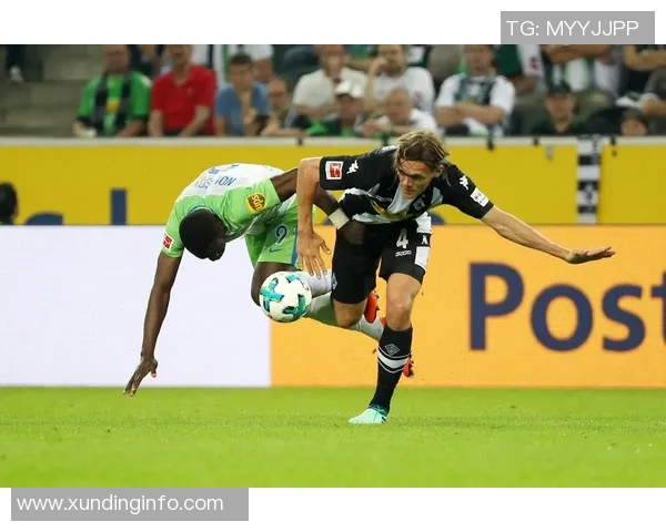 沃尔夫斯堡与门兴对决因意外事件中断球迷反应热烈 沃尔夫斯堡与门兴对决因意外事件中断球迷反应热烈