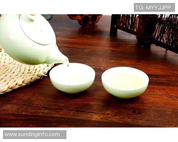 从零起步掌握足球配合技巧全方位指南与实战经验分享