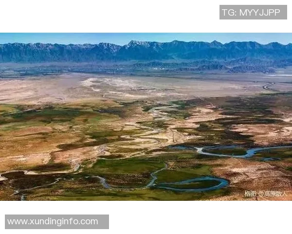 飞盘追梦：王秀英的运动人生与心灵对话之旅