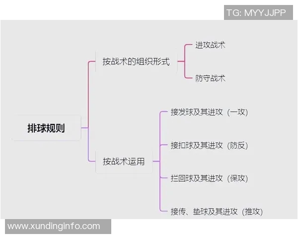南京排球队中路突破战术解析与实战应用研究