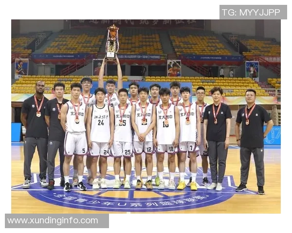 深入分析北京篮球队阵地战战术特点与执行策略