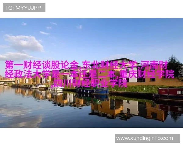 深圳羽毛球队的战术运营体系解析与实践经验分享