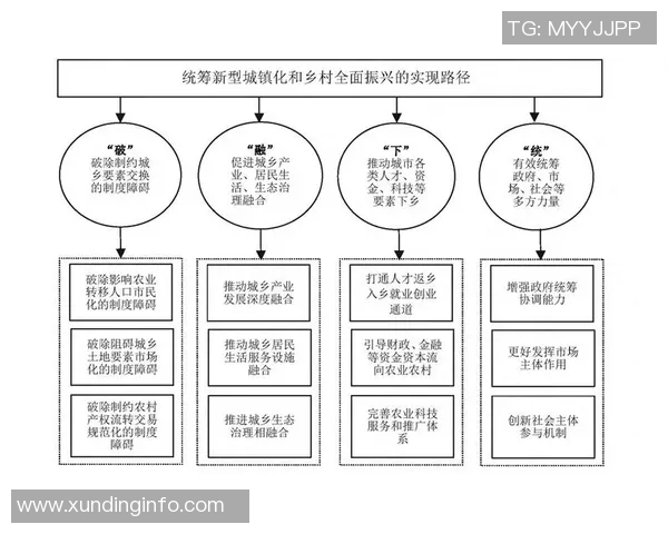 选举制度改革与公民参与的深度探讨：提升民主效率与透明度的路径分析